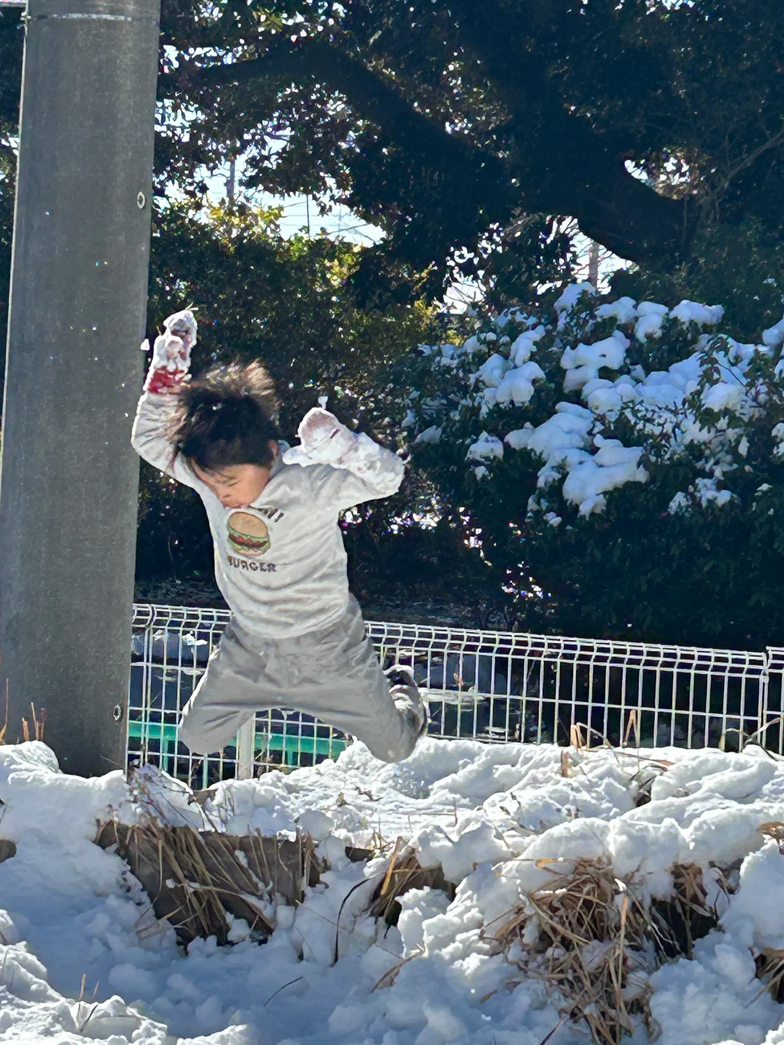 認定こども園 かえるの森