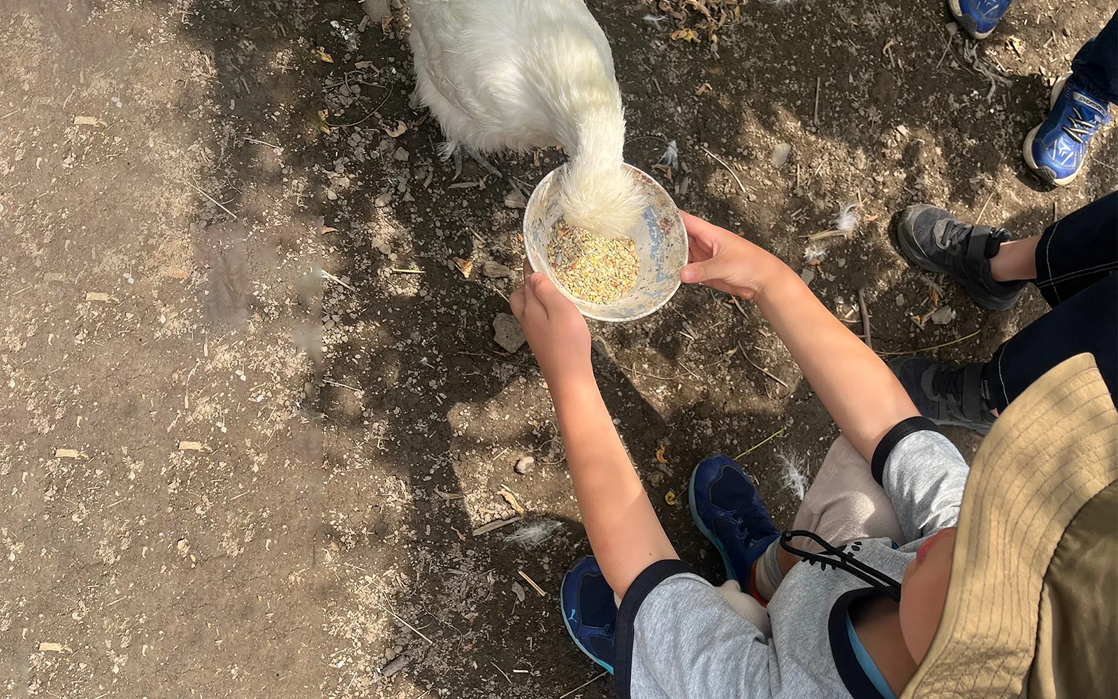 生き物と出会い、命にふれる