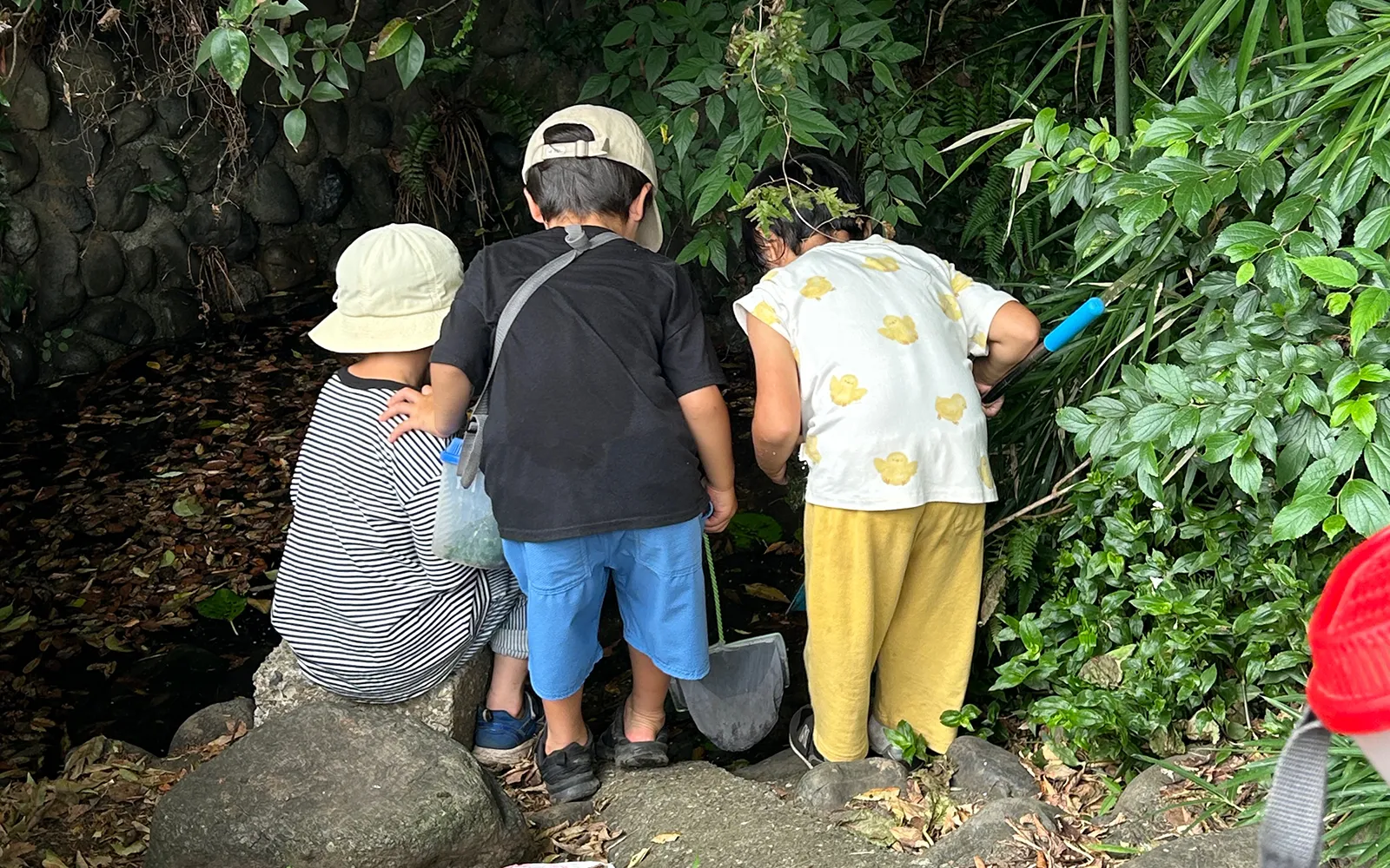 自然体験を通して育む