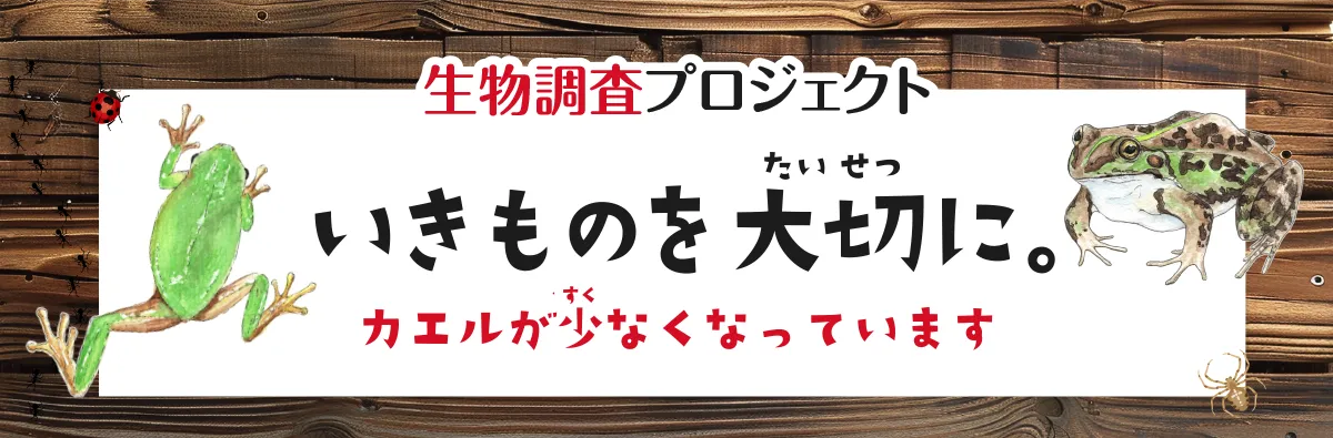 生物調査プロジェクト　いきものを大切に。カエルが少なくなっています
