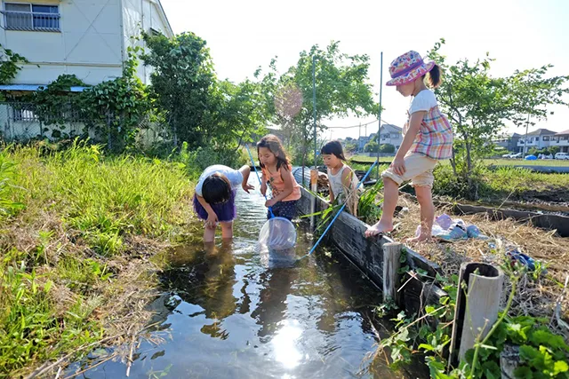 はたけんぼサポーターズ