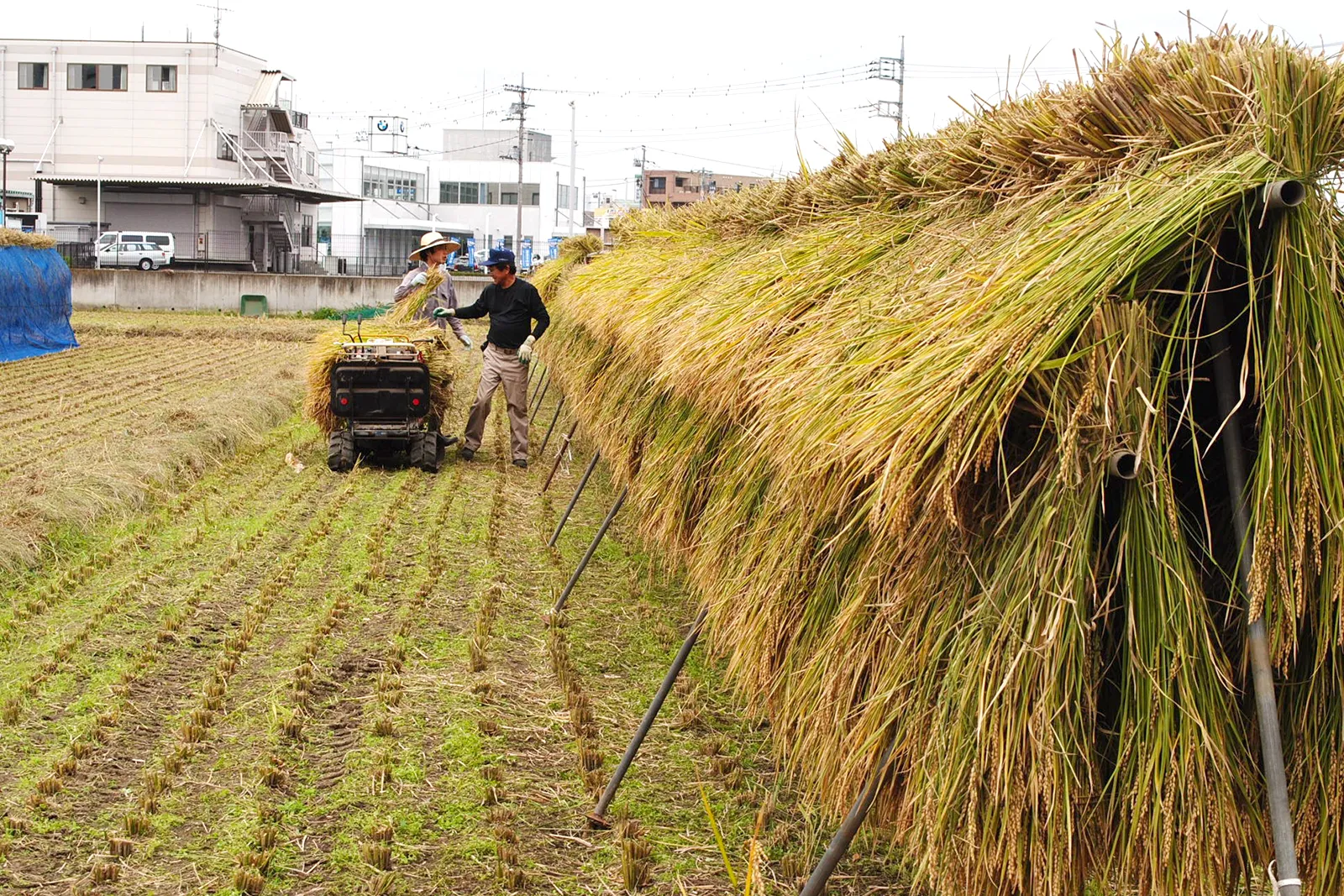 あなたの力を、貸してください