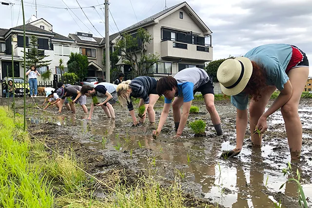 大人の田んぼ倶楽部