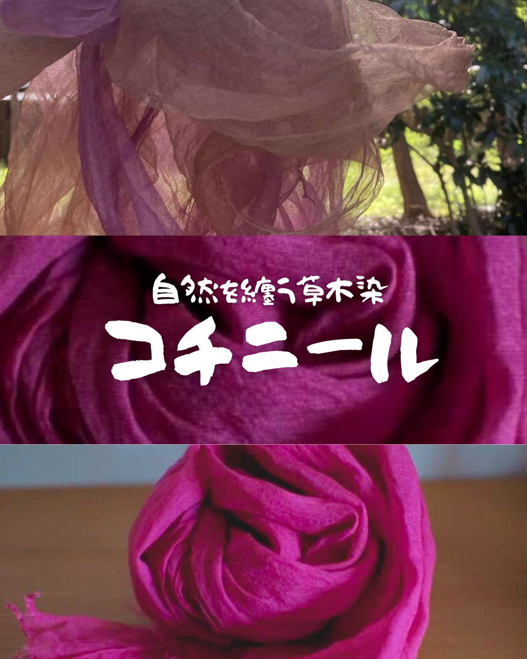 自然を纏う草木染め2025～秋冬～