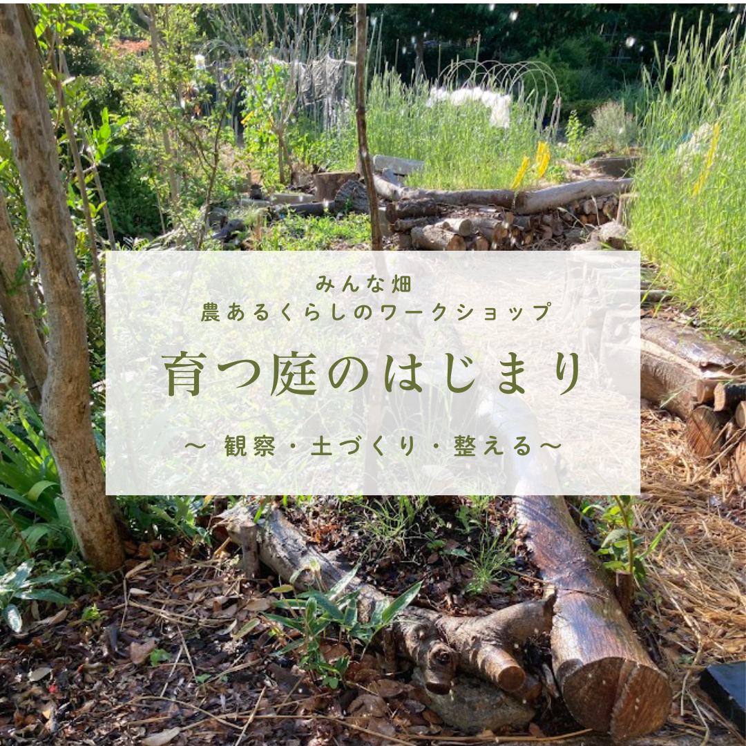 育つ庭のはじまり ～観察・土づくり・整えるを学ぶ～（全3回）