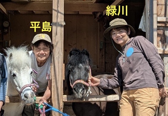 リトルホースのジャック&ダンディ　夏休み馬飼舎(まかいしゃ)体験
