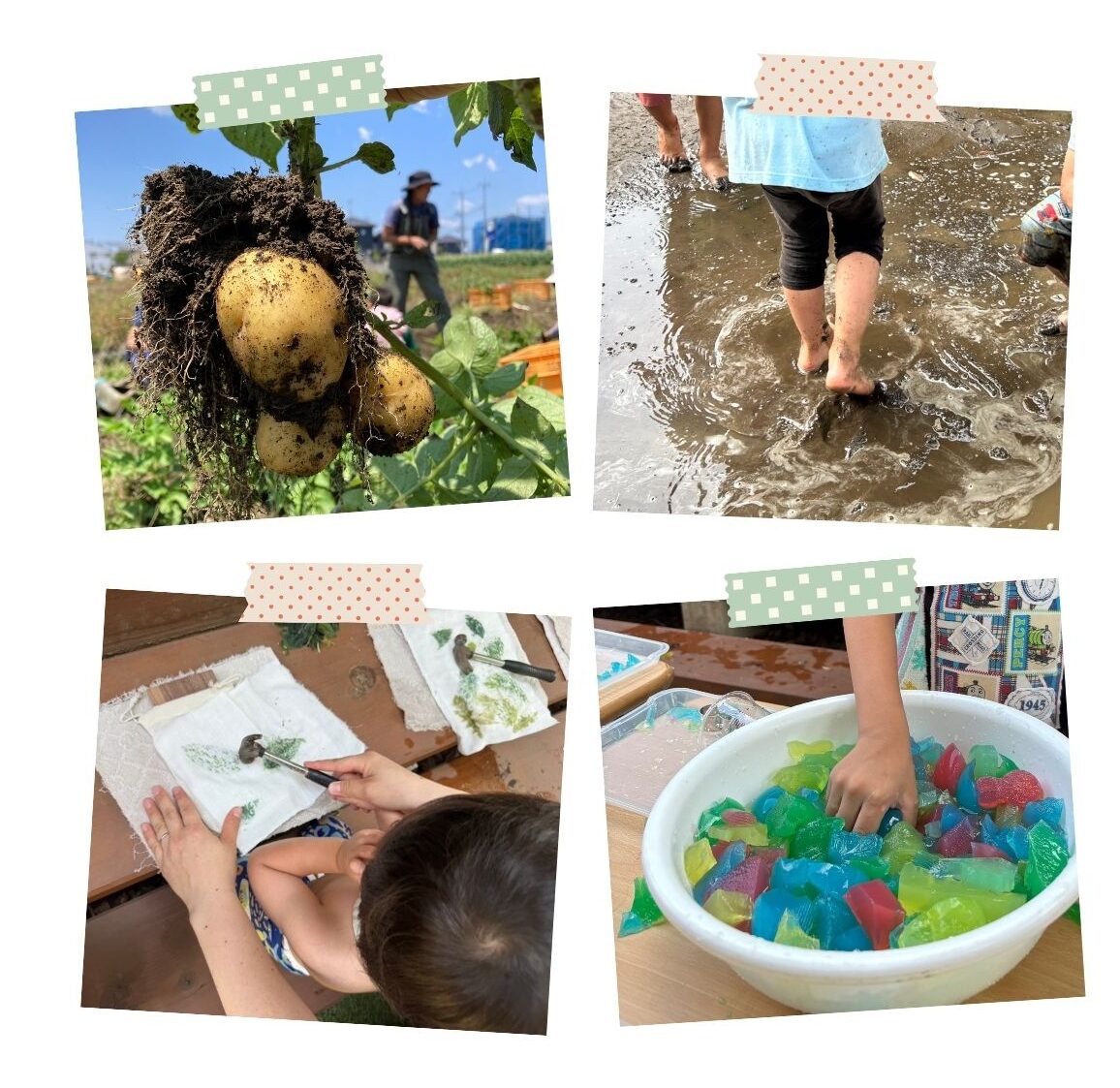 国立富士見台団地風の子園舎