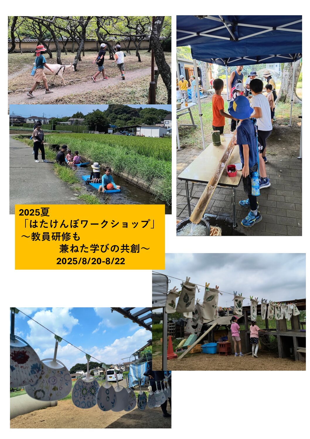 2025夏「はたけんぼワークショップ」開催報告 〜教員研修も兼ねた学びの共創〜