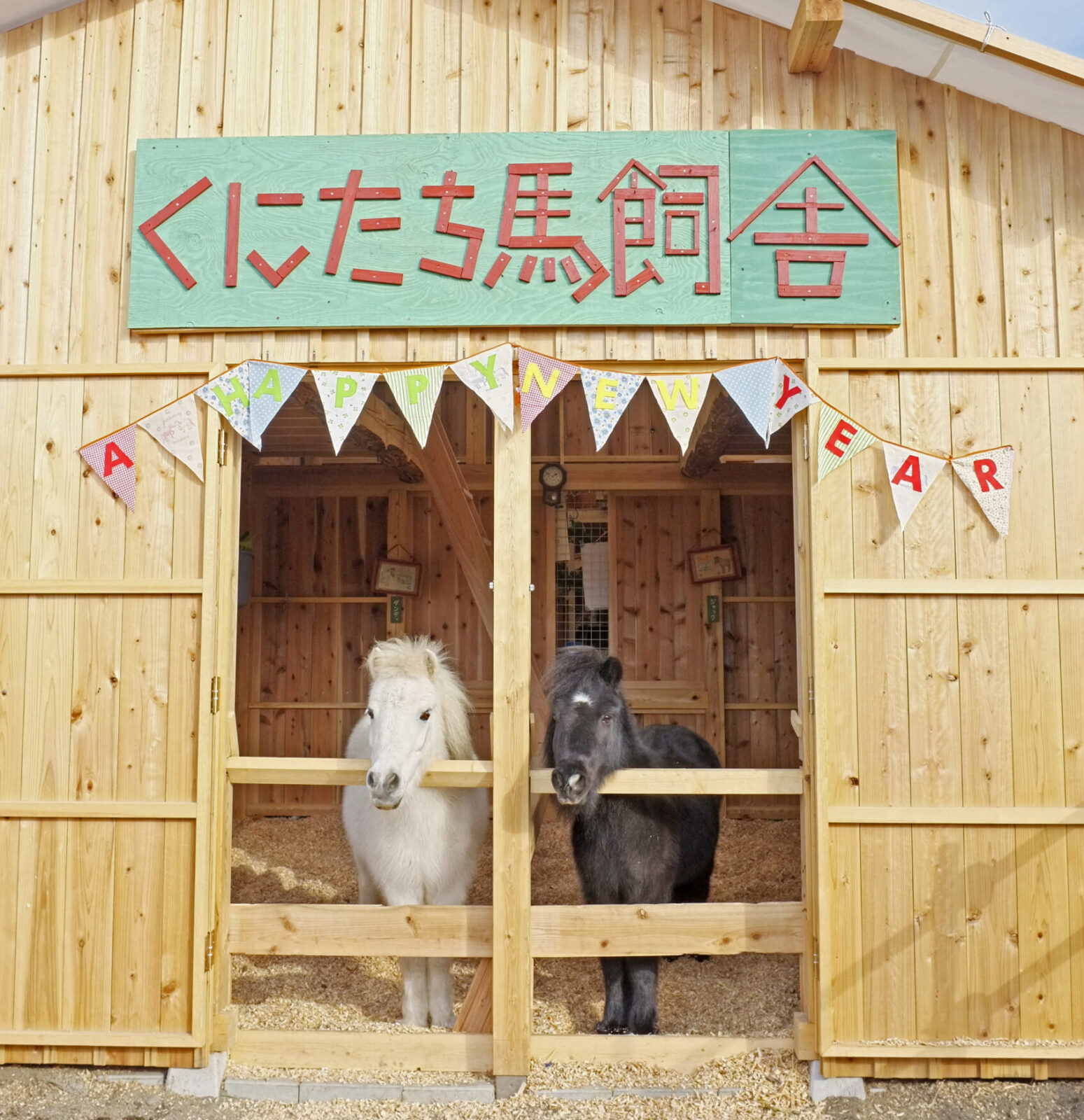 12/14はたけんぼオープンデイ！リトルホースのジャック&ダンディと年賀状写真を撮ろう