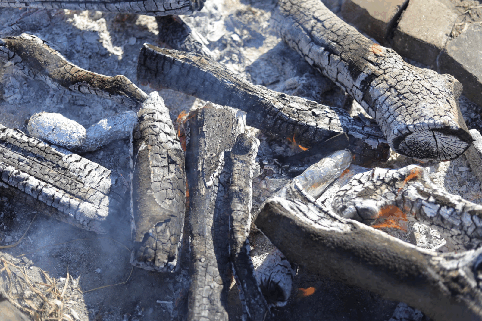 1/24はたけんぼオープンデイ！