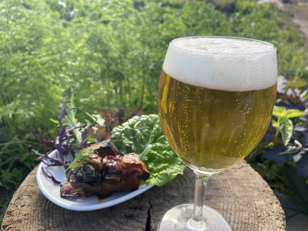 【新プロジェクト始動】米はビールに、麦芽は堆肥に。地域の“環”を醸すクラフトビール「田圃にカエル」