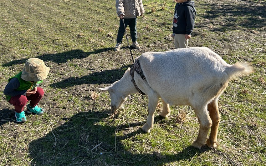 認定こども園かえるの森 12月オープンデー