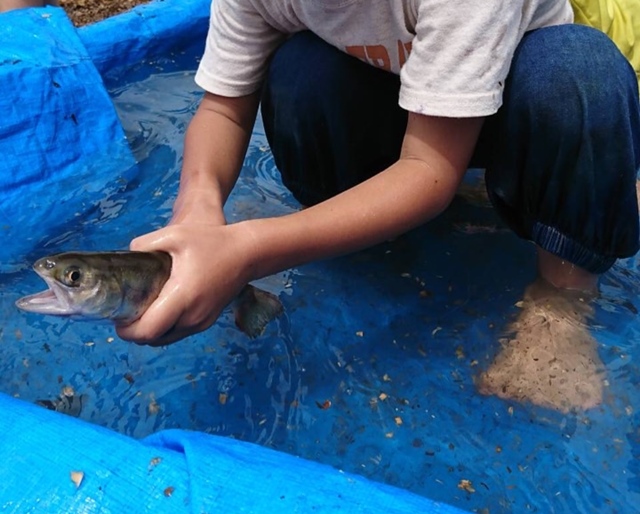 3/29（日）こどもまつり