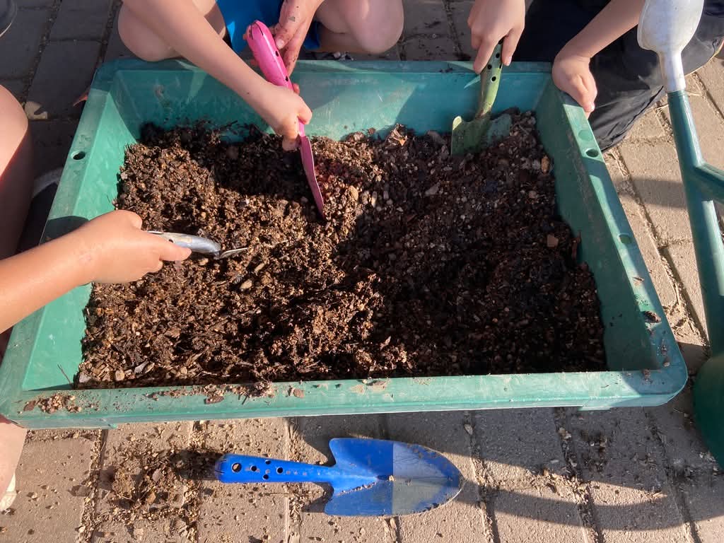 3/8・6/7(日)親子で育てるじゃがいも体験（全2回）