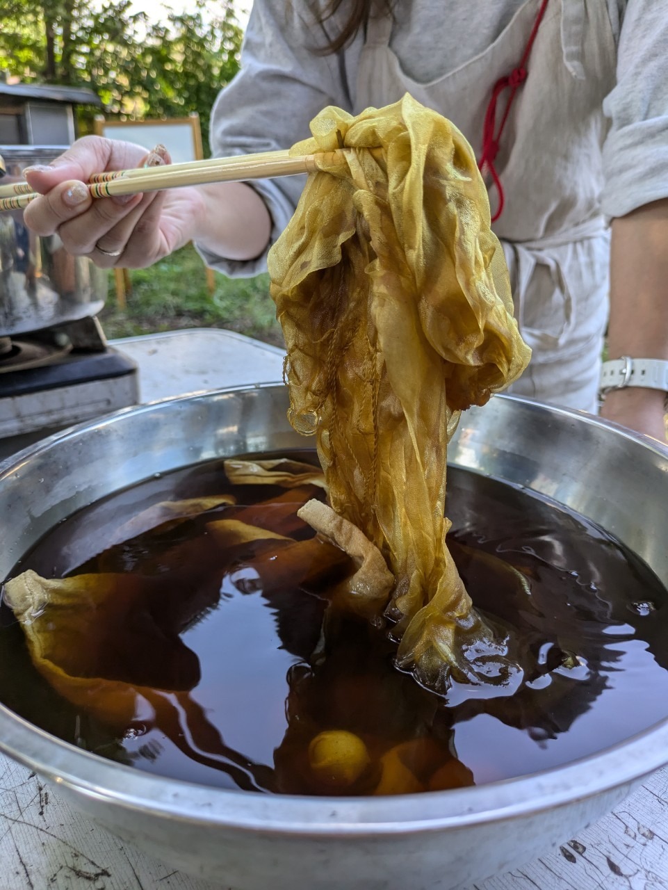 自然を纏う草木染め2026