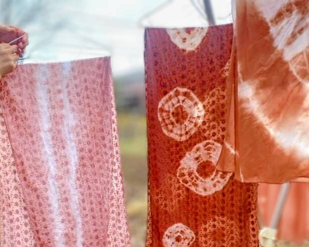 親子で楽しむ 草木染め 2026