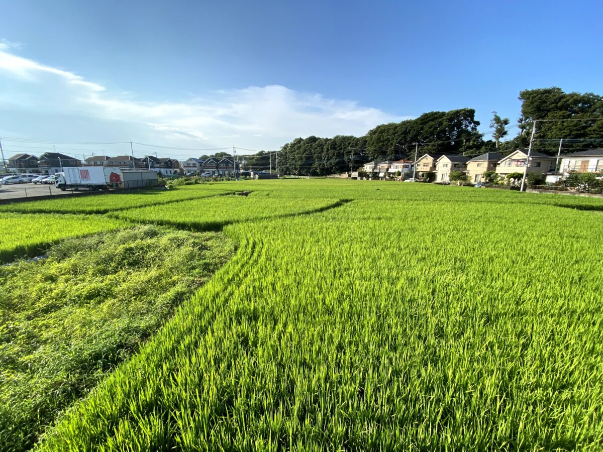 【メディア掲載】東京都公式サイト「TOKYO GROWN」にインタビューが公開されました