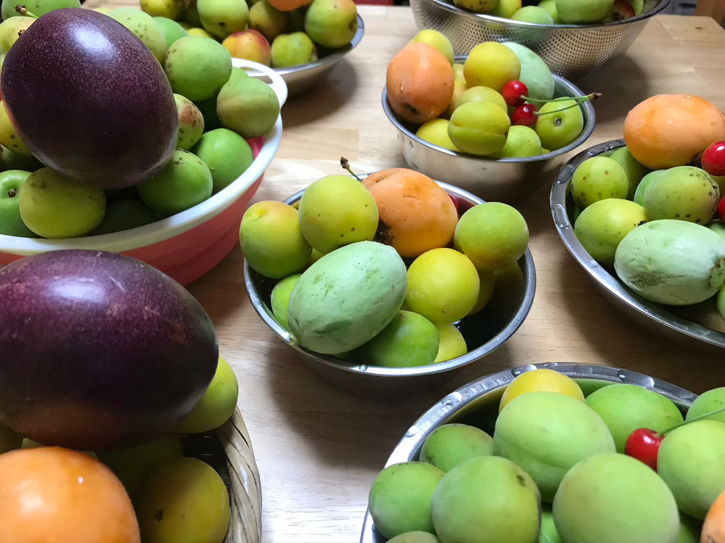 農ある暮らしのワークショップ  〜酵素と塩のミネラル講座〜