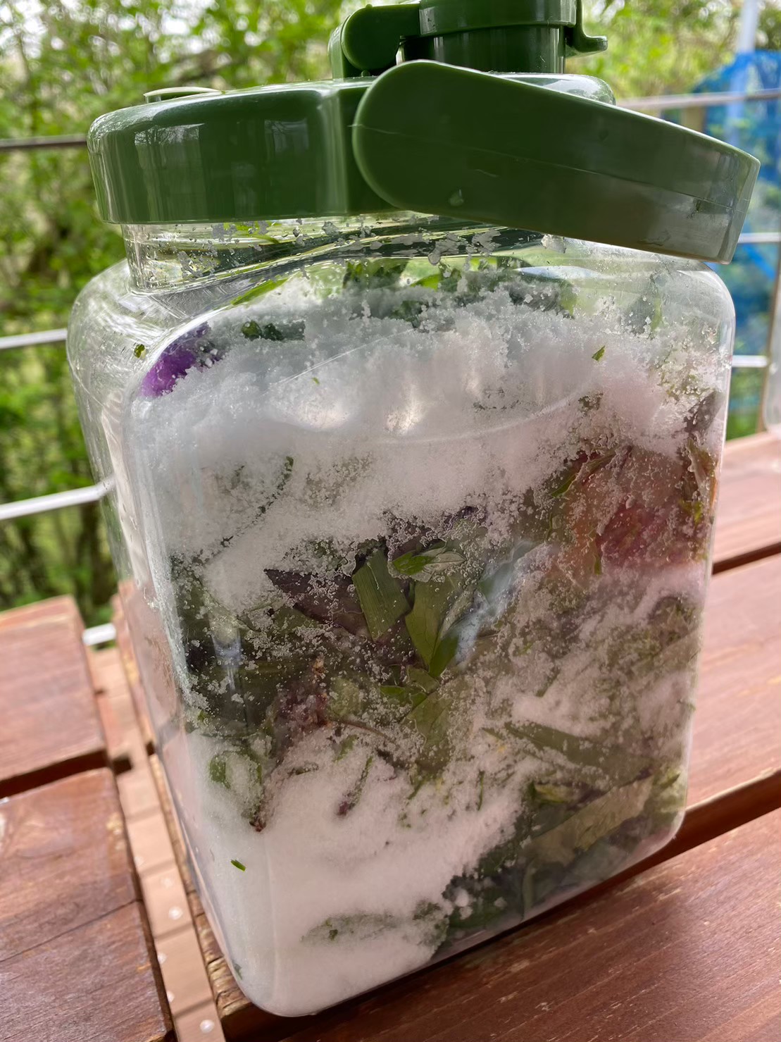 農ある暮らしのワークショップ  〜酵素と塩のミネラル講座〜