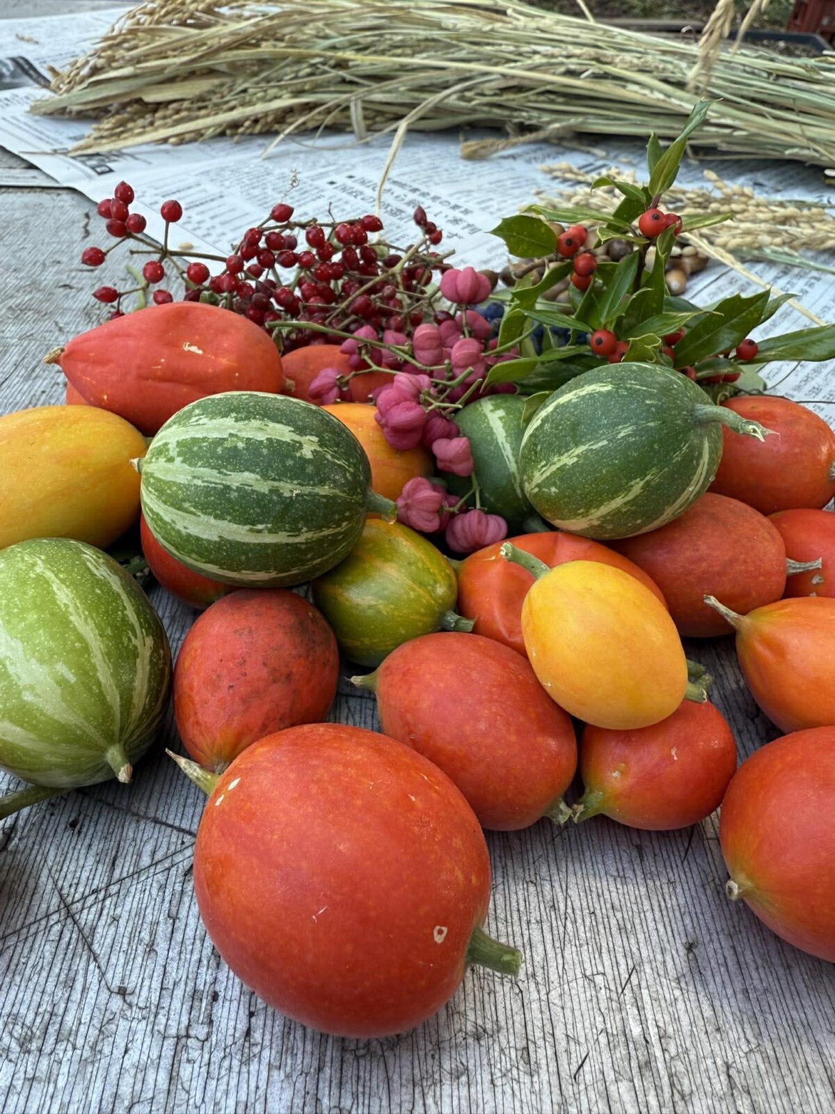 農ある暮らしのワークショップ  〜酵素と塩のミネラル講座〜