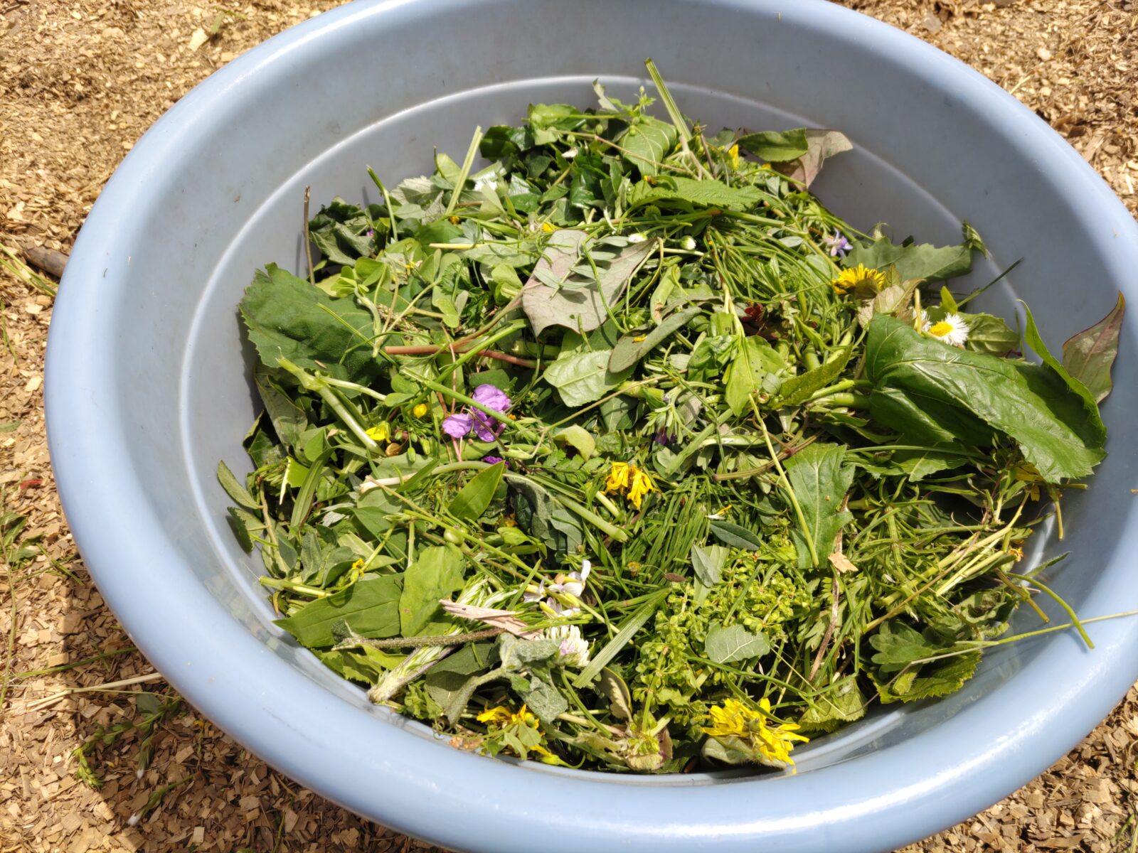 農ある暮らしのワークショップ  〜酵素と塩のミネラル講座〜