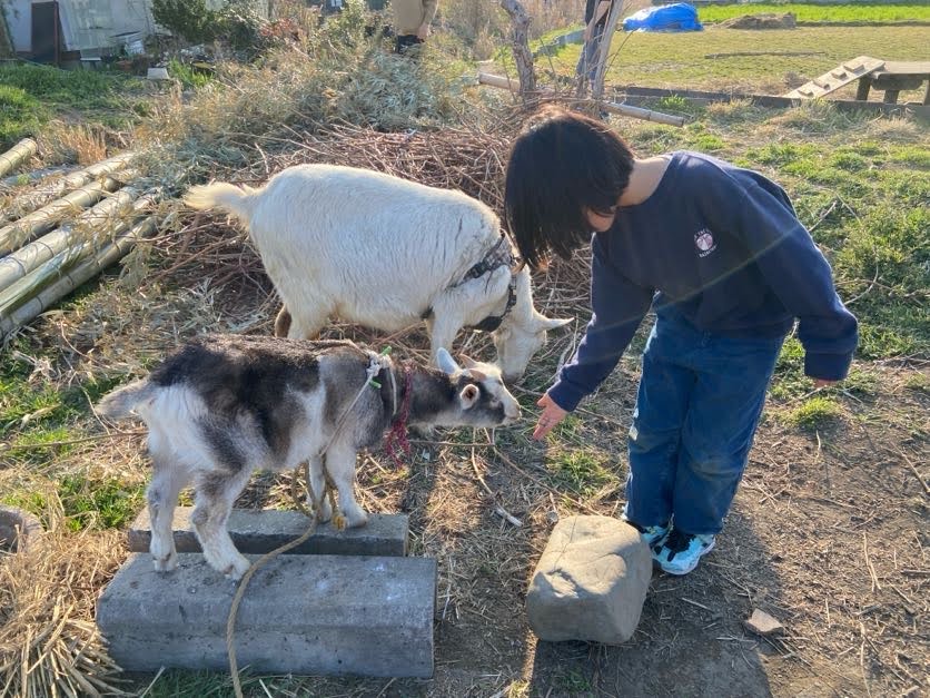 【2026年度 通年】放課後クラブニコニコ　無料体験