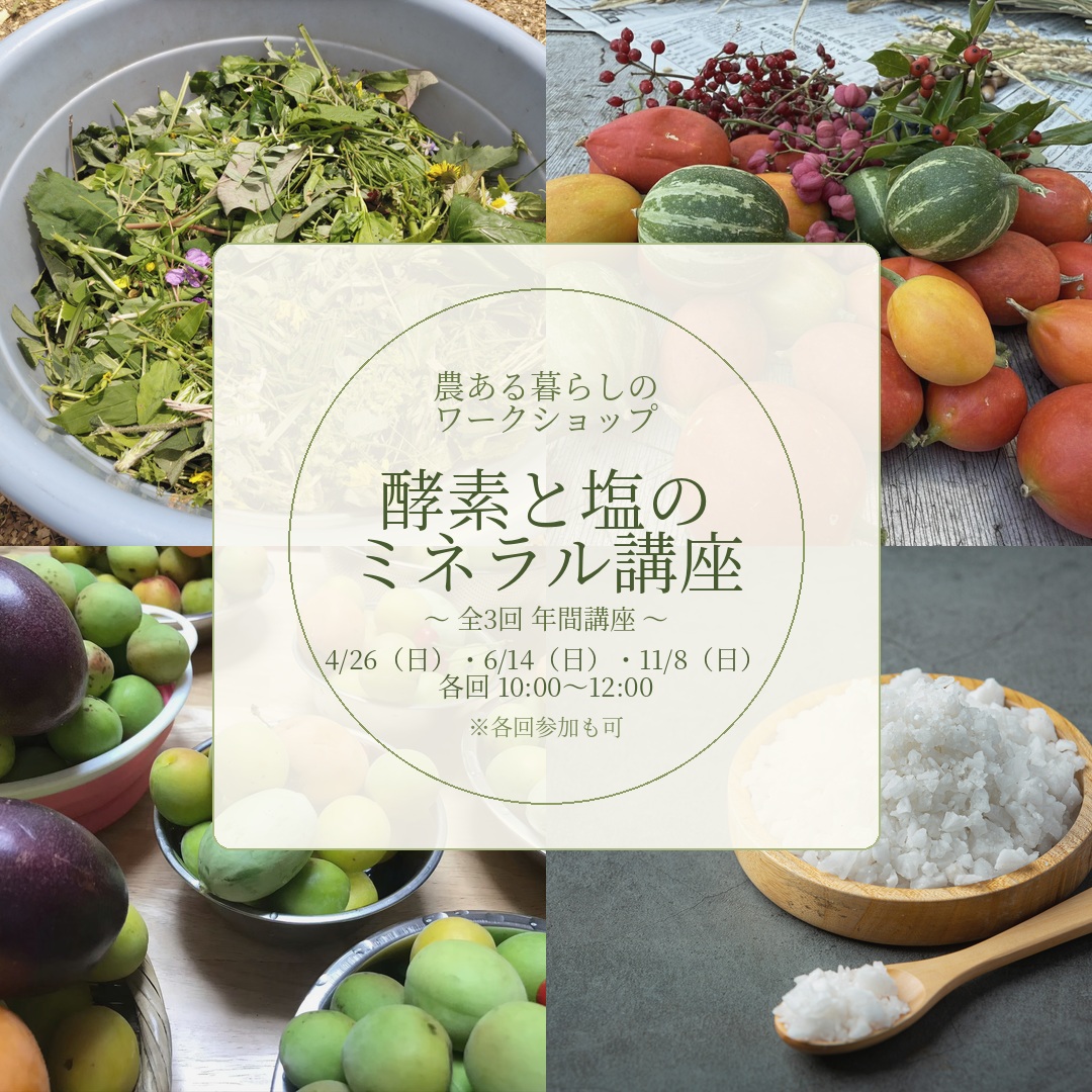 農ある暮らしのワークショップ  〜酵素と塩のミネラル講座〜
