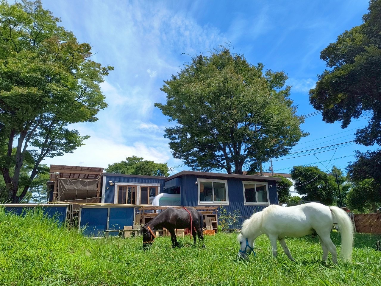 認定こども園かえるの森 7月オープンデー