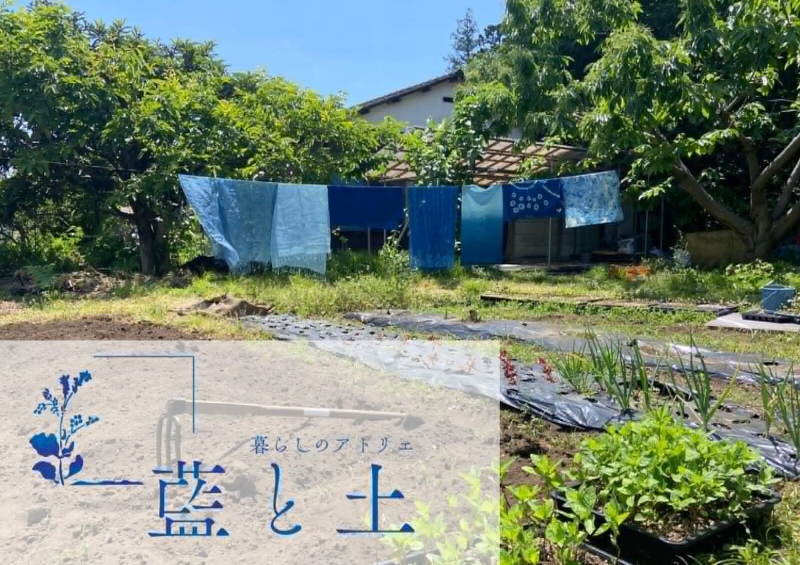 9/12（土）「藍と土」 のオープンデー